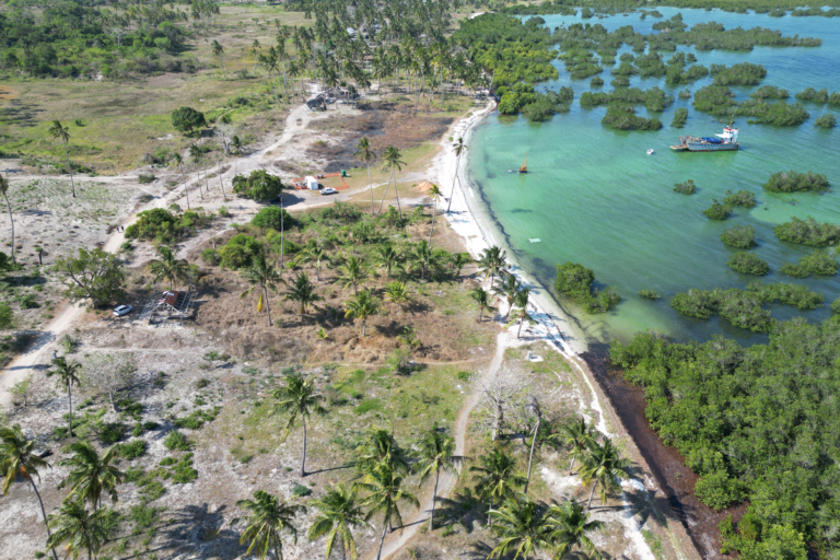 Palma Logistics Terminal